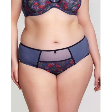 DIONNE MIDI BRIEF
