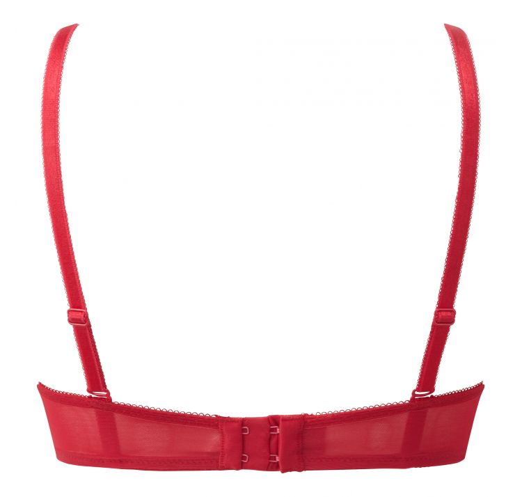 GOSSARD glossies lace sheer bra