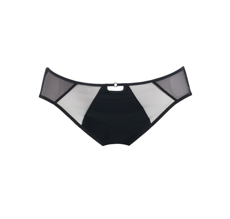 ELOMI sachi brief