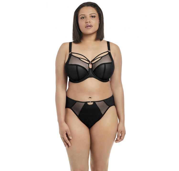 ELOMI sachi brief