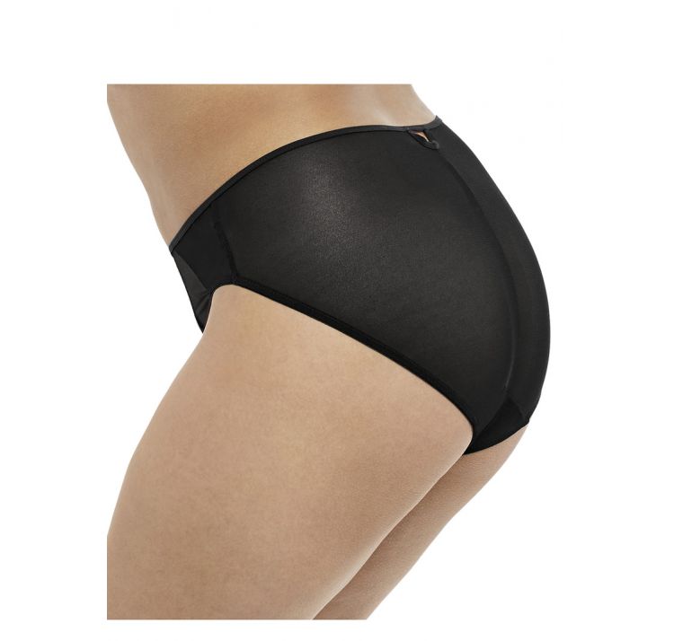 ELOMI sachi brief
