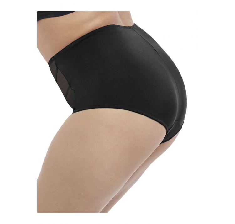 ELOMI sachi full brief