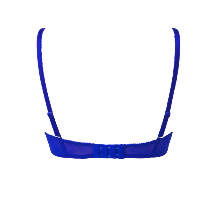 GOSSARD glossies lace sheer bra