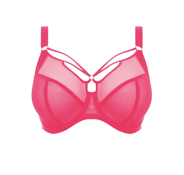 ELOMI sachi uw plunge bra