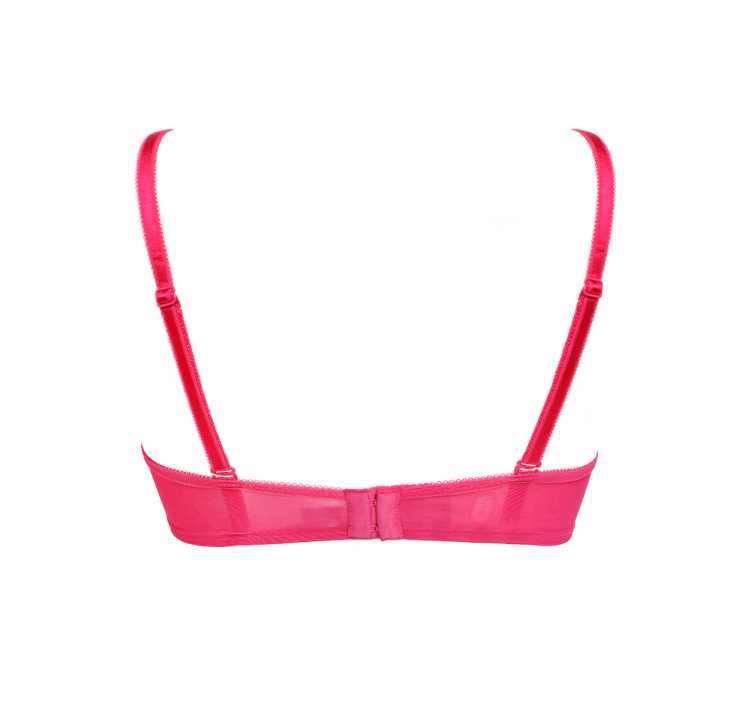 GOSSARD glossies lace sheer bra