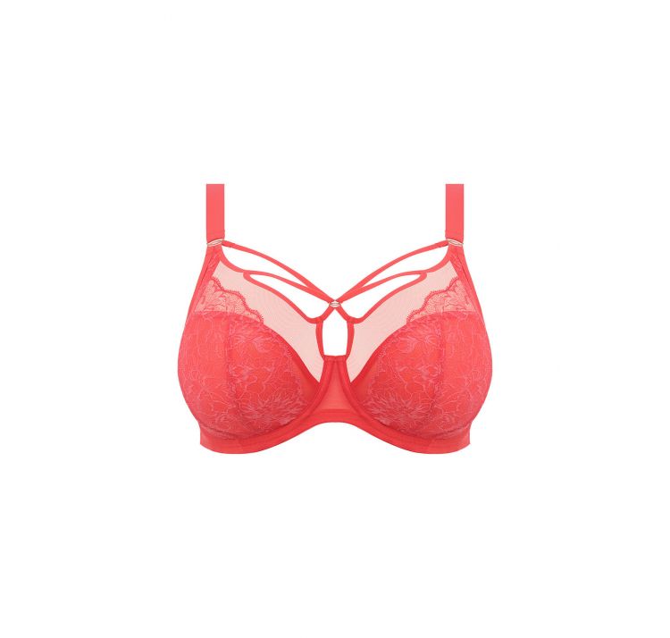 ELOMI brianna koronkowy biustonosz plunge