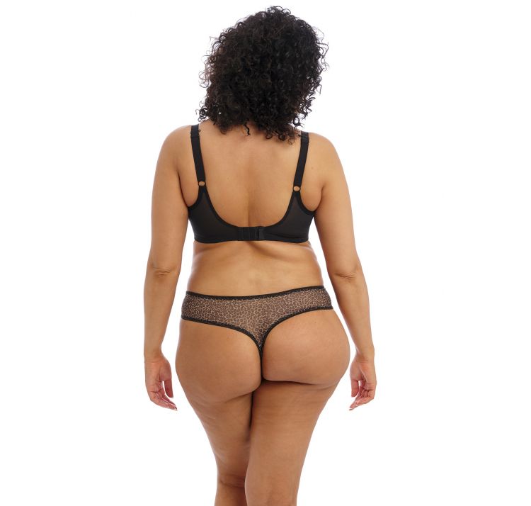 ELOMI matilda stringi