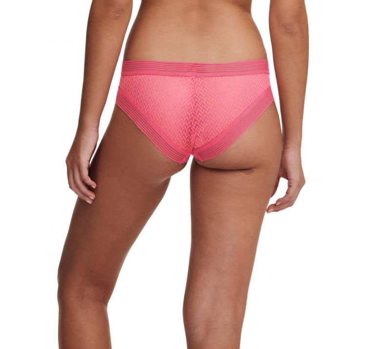 PASSIONATA manhattan shorty