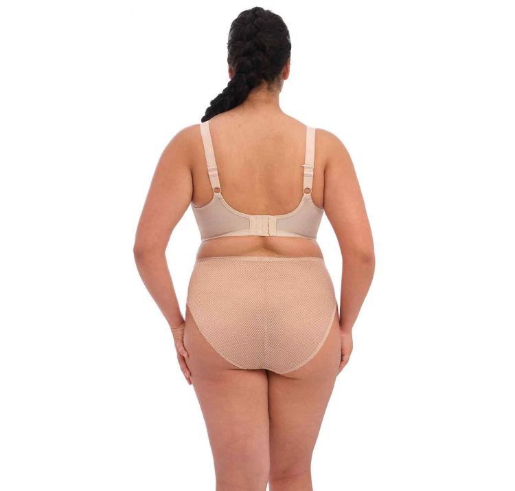 ELOMI charley high leg brief