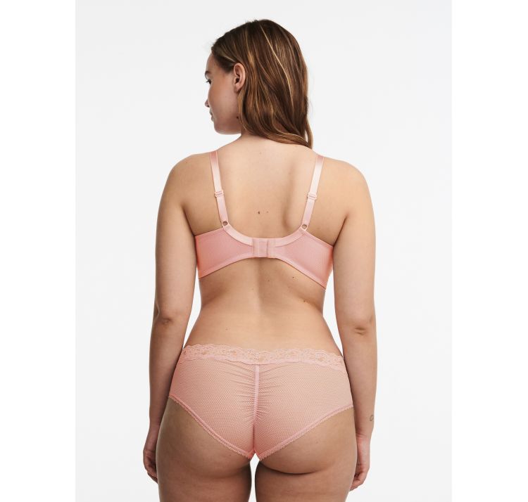 PASSIONATA brooklyn koronkowe szorty