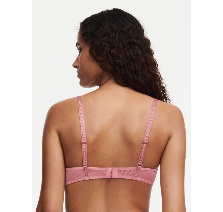 PASSIONATA suzy lekko usztywniony biustonosz plunge z kwiatowym haftem