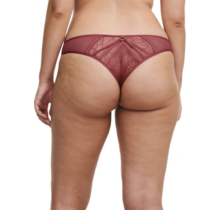 CHANTELLE X xqusite koronkowe brazyliany