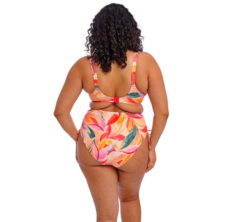 ELOMI SWIM sancho beach gÓra od bikini uw plunge bikini top