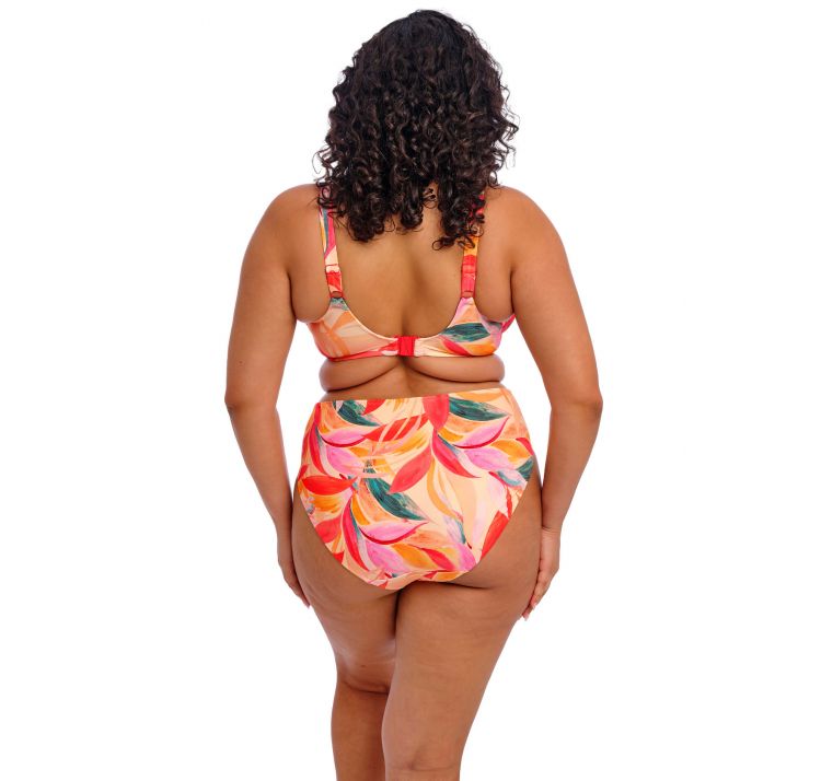 ELOMI SWIM sancho beach gÓra od bikini uw plunge bikini top