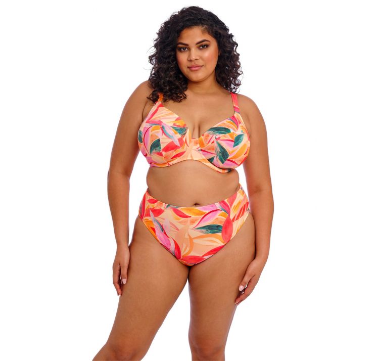 ELOMI SWIM sancho beach gÓra od bikini uw plunge bikini top